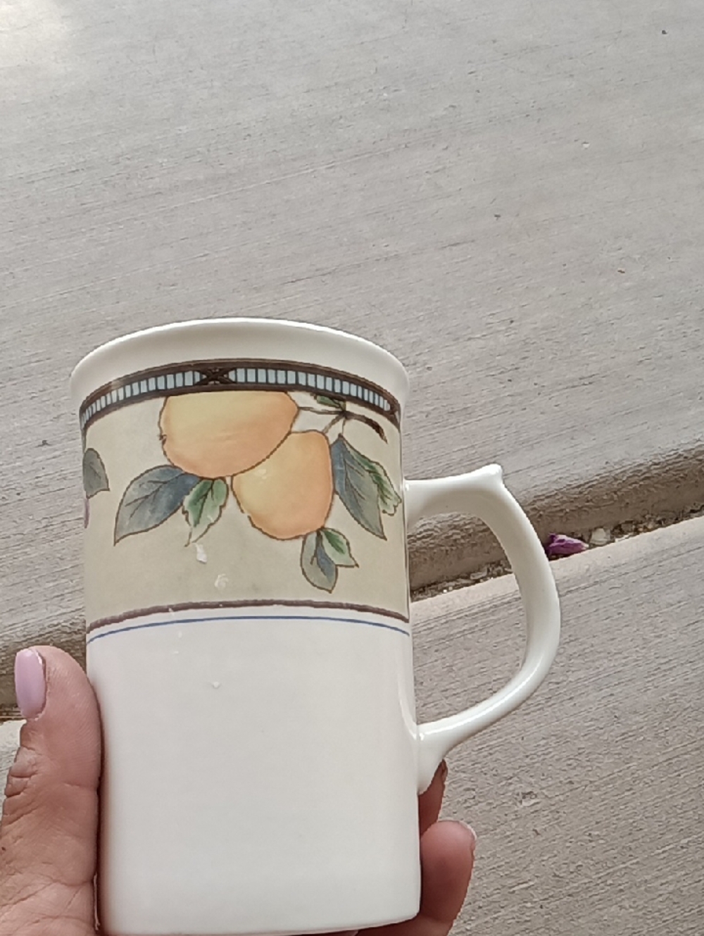 Mikasa Cream and Peach Fruit Pattern Ceramic Mug